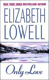 Elizabeth Lowell: Only Love