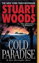 Stuart Woods: Cold Paradise