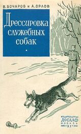 Владимир Бочаров: Дрессировка служебных собак