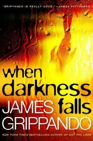 James Grippando When Darkness Falls The sixth book in the Jack Swyteck series - фото 1