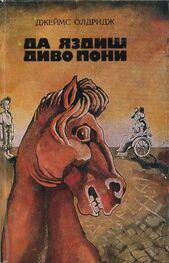 Джеймс Олдридж: Да яздиш диво пони
