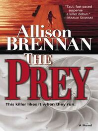 Allison Brennan: The Prey