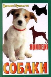 Джино Пуньетти: Энциклопедия собаки. Рабочие собаки