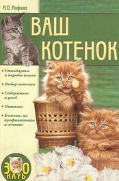 Ирина Иофина: Ваш котенок