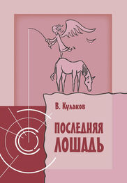 Владимир Кулаков: Последняя лошадь
