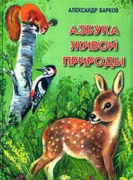 Александр Барков: Азбука живой природы