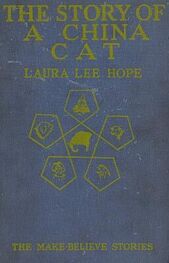 Laura Hope: The Story of a China Cat