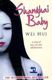 Wei Hui: Shanghai Baby