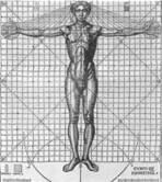 ок 1490 1509 1521 1591 Леонардо да Винчи Схема пропорций тела человека - фото 52
