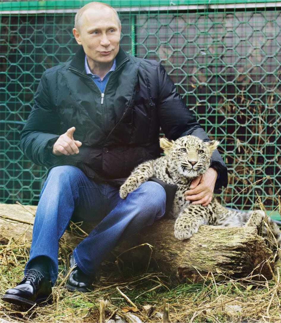 Странное дело леопард смирно лежал на коленях у Владимира Путина хотя за пять - фото 51