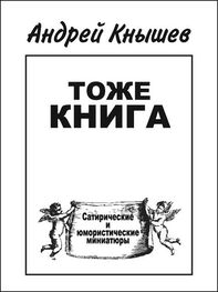 Андрей Кнышев: Тоже книга