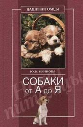 Юлия Рычкова: Собаки от А до Я