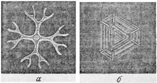 Рис 10 Примеры более сложной симметрии осуществляемой природой Снежинка на - фото 11