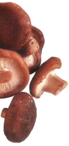 Грибы ТОНГУ более известные как китайские грибы шиитаке используют в сыром - фото 3
