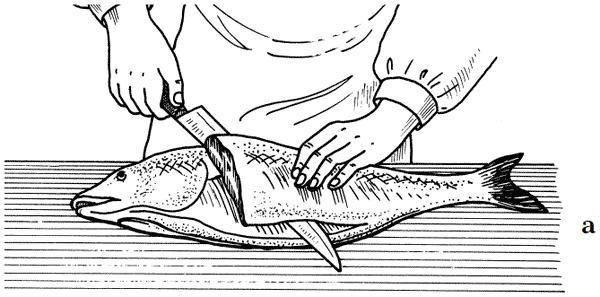 Рис 13 Общая последовательность снятия филе у широкоспинных рыб лещ - фото 19