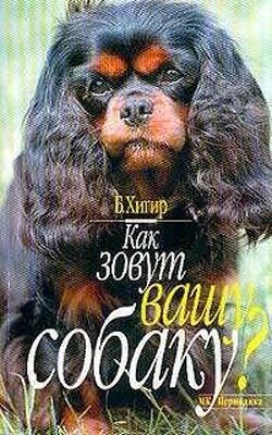 Борис Хигир Как зовут вашу собаку