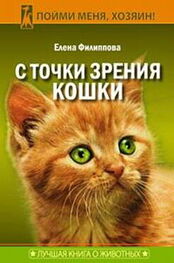 Елена Филиппова: С точки зрения Кошки