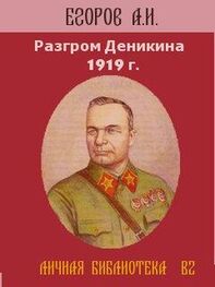 Александр Егоров: Разгром Деникина 1919 г.