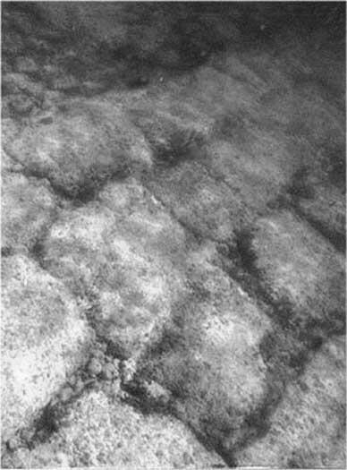 Фрагмент легендарной Дороги Бимини Где же нужно искать Подводные исследователи - фото 2