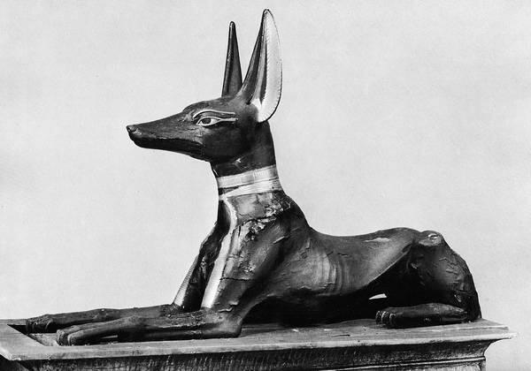 Анубис в облике шакала Для египтян было совершенно естественным отождествлять - фото 26