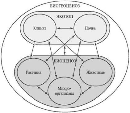 Рис 2 Схема экосистемы Явления происходящие в биосфере взаимоотношения - фото 4