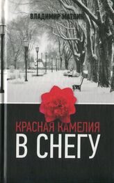 Владимир Матлин: Красная камелия в снегу