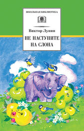 Виктор Лунин: Не наступите на слона (сборник)