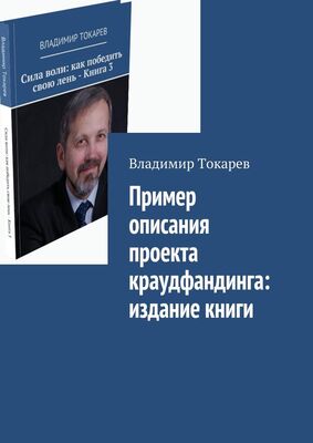Владимир Токарев Пример описания проекта краудфандинга: издание книги