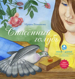 Ирина Романова: Спасённый голубь
