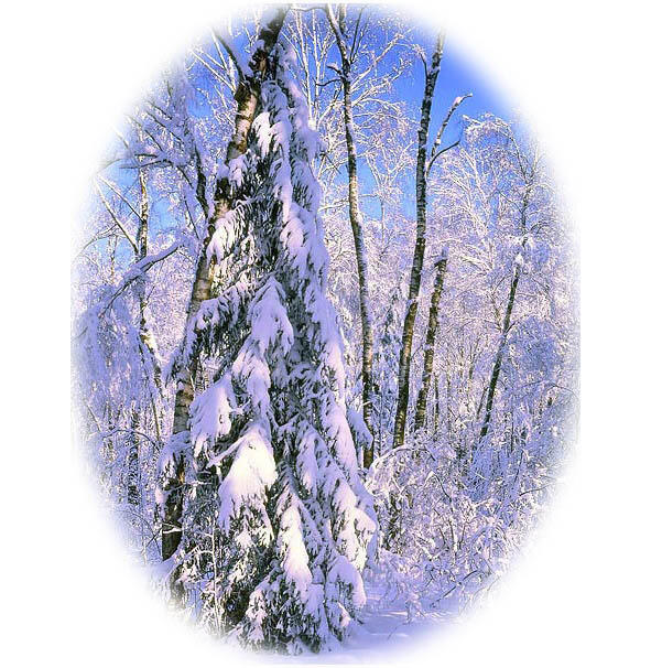 Тут и сказка и душа Здравствуй зимушка зима с Новым Годом сказка - фото 4