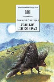 Геннадий Снегирев: Умный дикобраз (сборник)