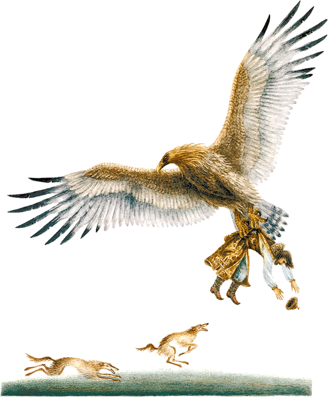 Летелилетели орёл опять спрашивает Посмотри царьгосударь что над нами и - фото 26