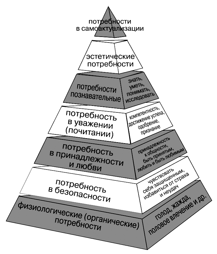 Всем известна классификация американского психолога Абрахама Маслоу пирамида - фото 1