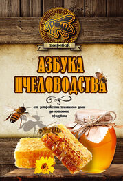 Николай Волковский: Азбука пчеловодства. От устройства пчелиного дома до готового продукта
