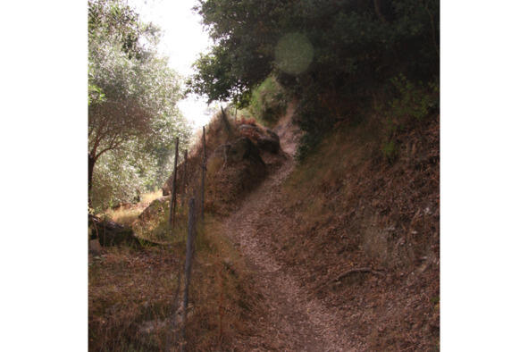 В таком случае вам идти на Corfu trail Corfu trail это тропа для прогулок - фото 12