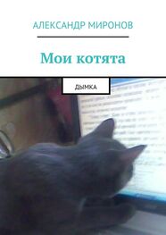 Александр Миронов: Мои котята. Дымка