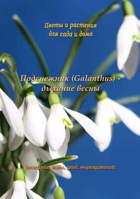 Федор Кольцов Подснежник (Galanthus) – дыхание весны
