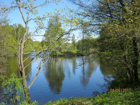 Озеро в центре парка Сигнальный бакен у Залива - фото 7