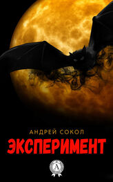 Андрей Сокол: Эксперимент