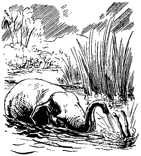 Гаги Перестань Анпа плескал водой в слона Слон обливал Анпу водой хватал - фото 6