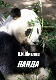 В. Жиглов: Панда