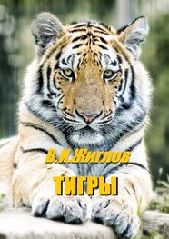 В. Жиглов: Тигры