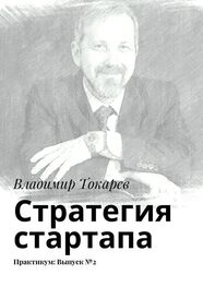 Владимир Токарев: Стратегия стартапа. Практикум: Выпуск №2