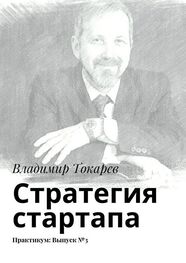 Владимир Токарев: Стратегия стартапа. Практикум: Выпуск №3