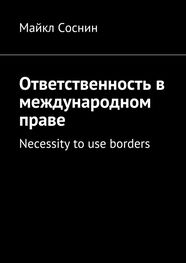 Майкл Соснин: Ответственность в международном праве. Necessity to use borders