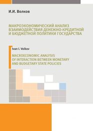 И. Волков: Макроэкономический анализ взаимодействия денежно-кредитной и бюджетной политики государства