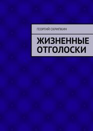 Георгий Скрипкин: Жизненные отголоски