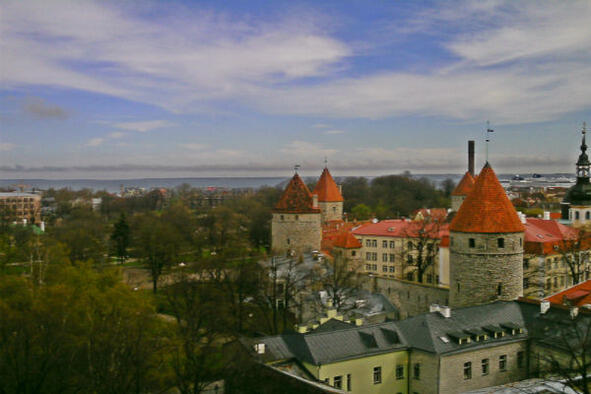Таллин Крыши старого города The Old City Tallinn Мои новые друзья оказались - фото 1
