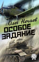 Олег Нечаев: Особое задание