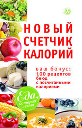 М. Смирнова: Новый счетчик калорий. Ваш бонус: 100 рецептов блюд с посчитанными калориями